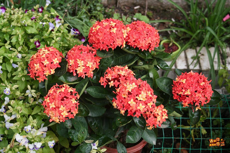 ��Ƭ 072_����.jpg