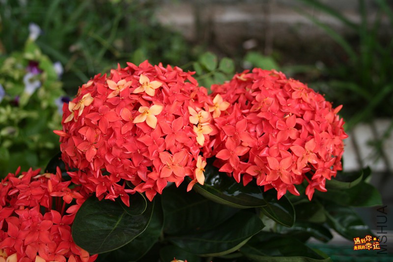 ��Ƭ 074_����.jpg