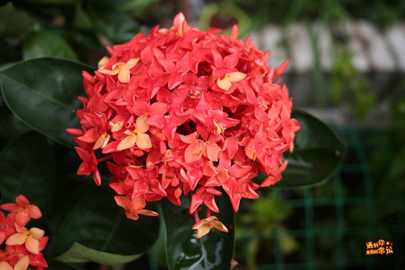 ��Ƭ 077_����.jpg