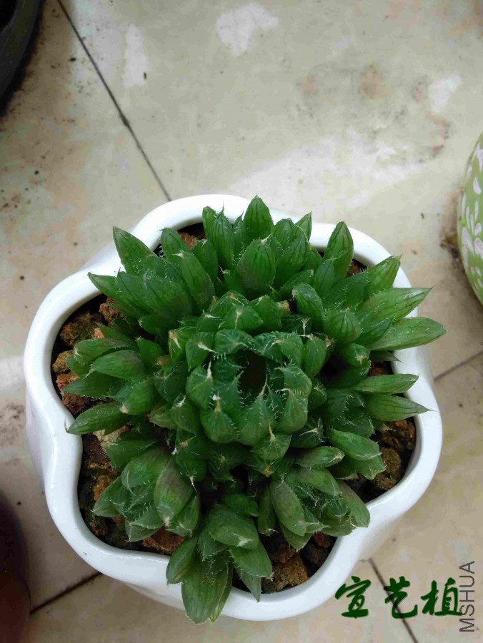 201606101.jpg