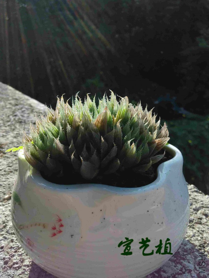 201610041.jpg