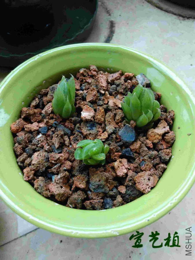 3201605021.jpg