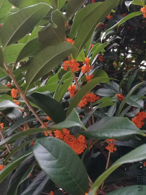 IMG_20161006_170448.jpg