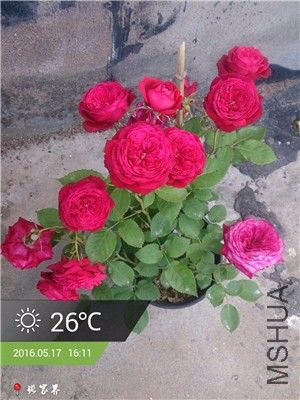 ���ؿ���(1).jpg