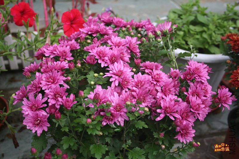 ��Ƭ 067_����.jpg