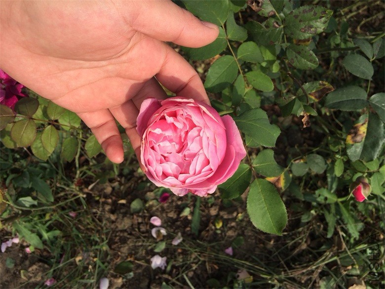 16.10.9IMG_3180.JPG