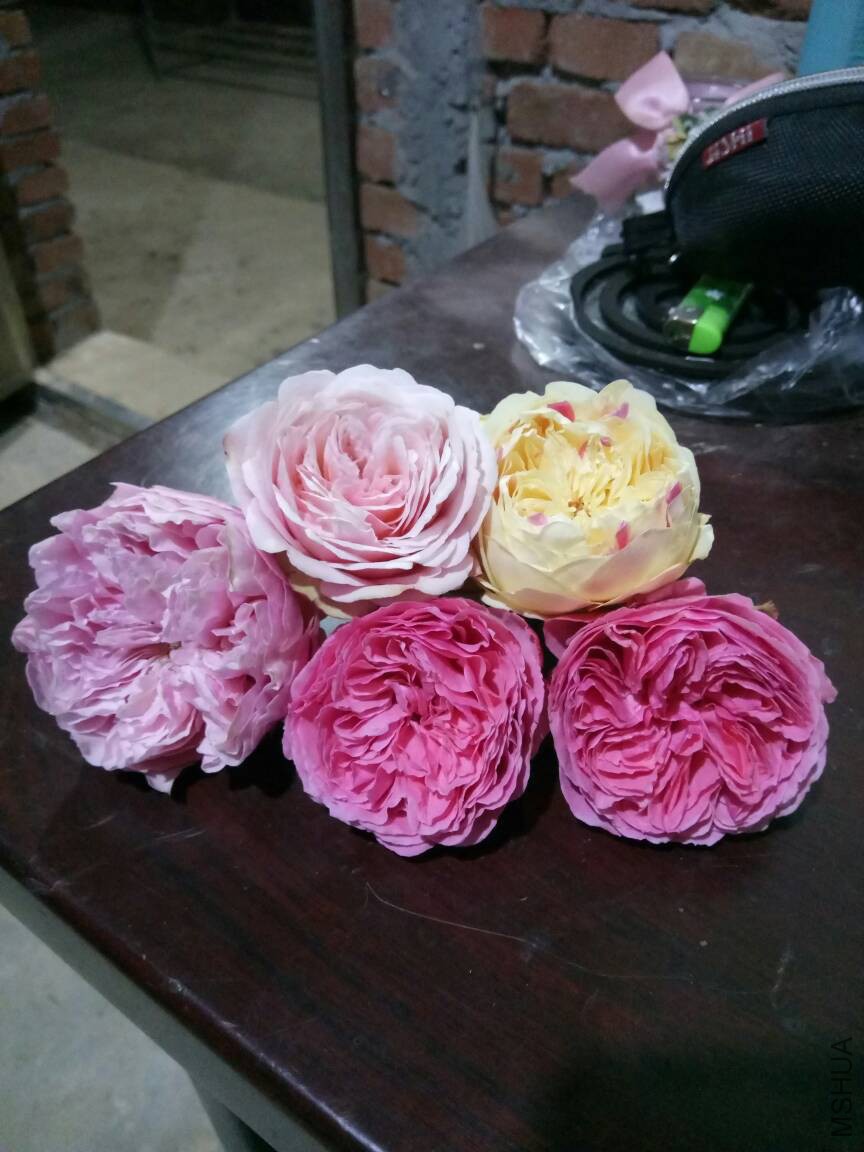 113843th281yvy6ml10k1y.jpg