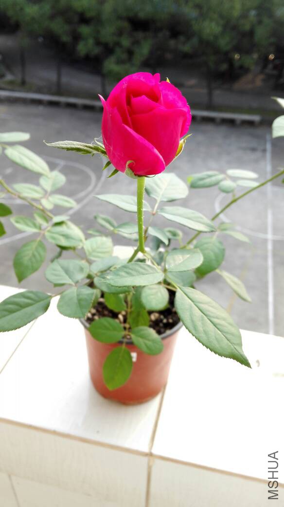 130828id3t34mbffr8643f.jpg