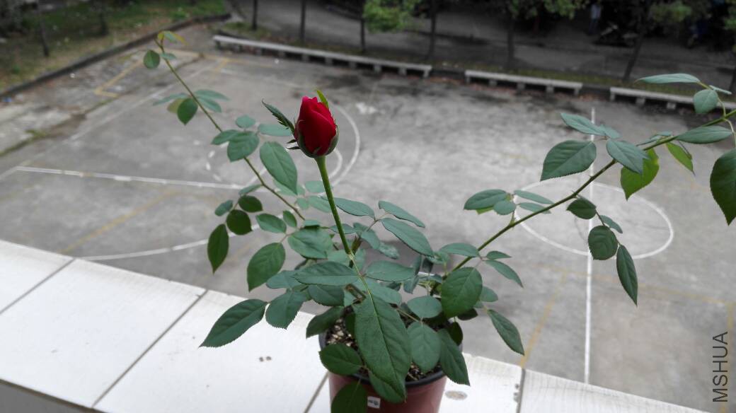 130828npsgg80gupjuxvej.jpg