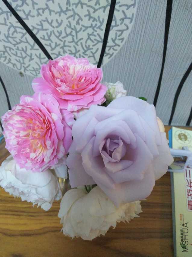 IMG20161008175319.jpg