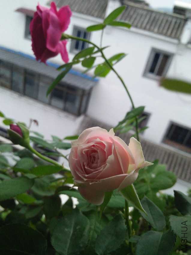IMG20161008173850.jpg