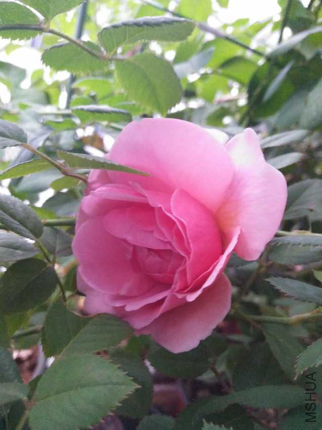 IMG20161008173826.jpg