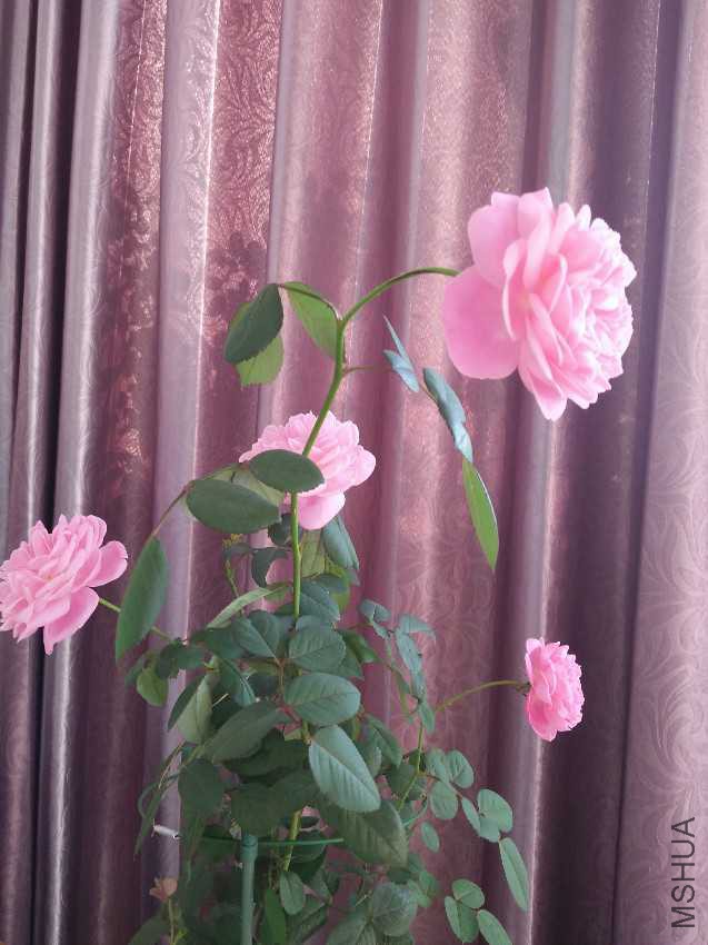 IMG20161004075931.jpg