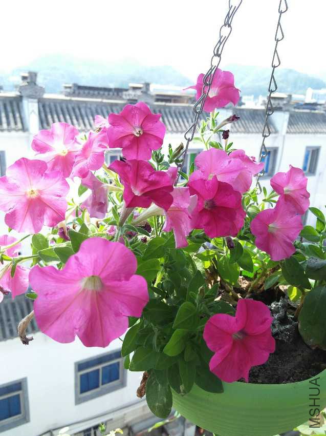 IMG20160924105005.jpg
