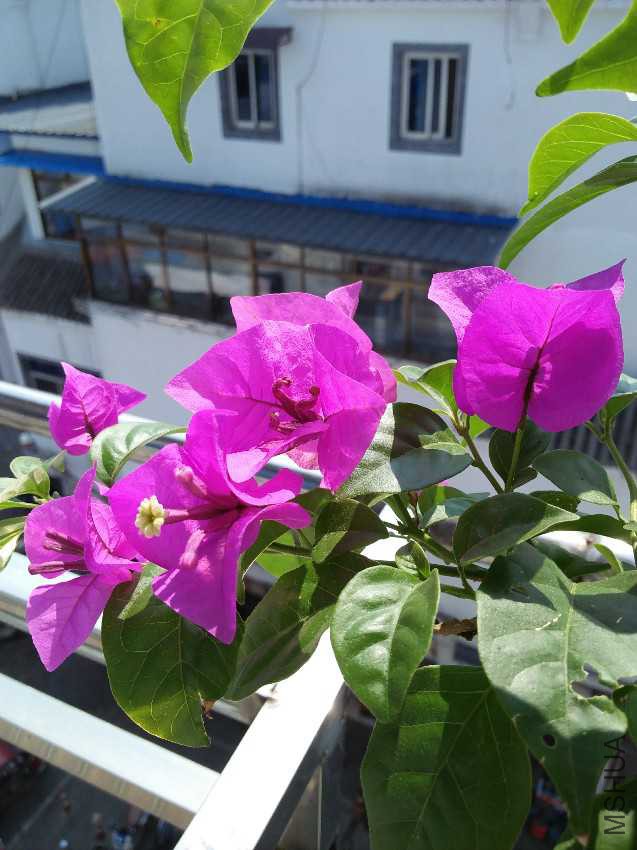 IMG20160924105403.jpg