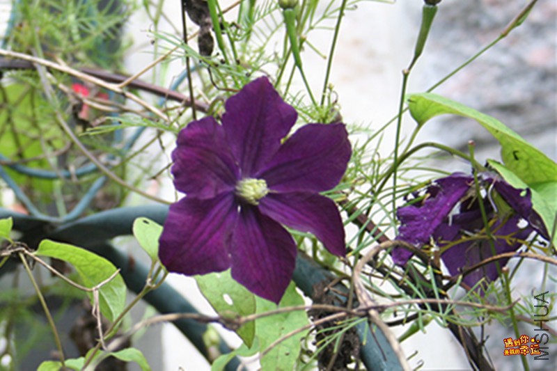 ��Ƭ 079_����.jpg