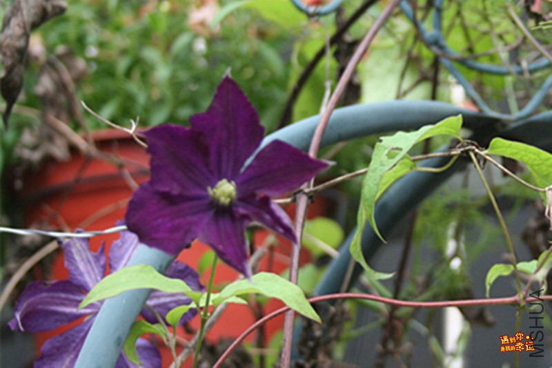 ��Ƭ 080_����.jpg