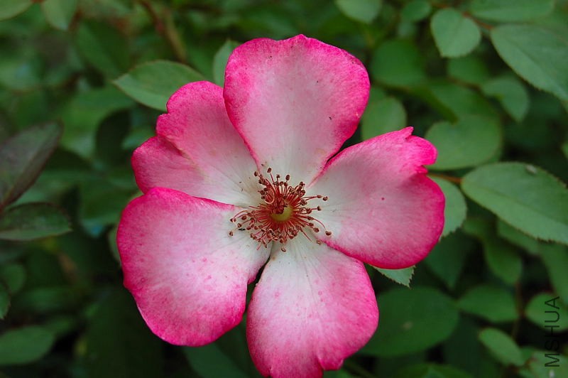 DSC_84000050.JPG