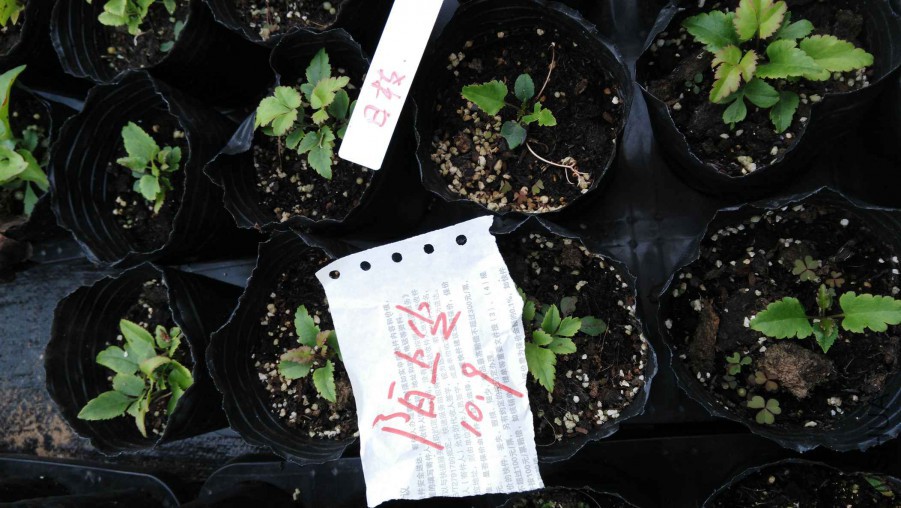 18.jpg