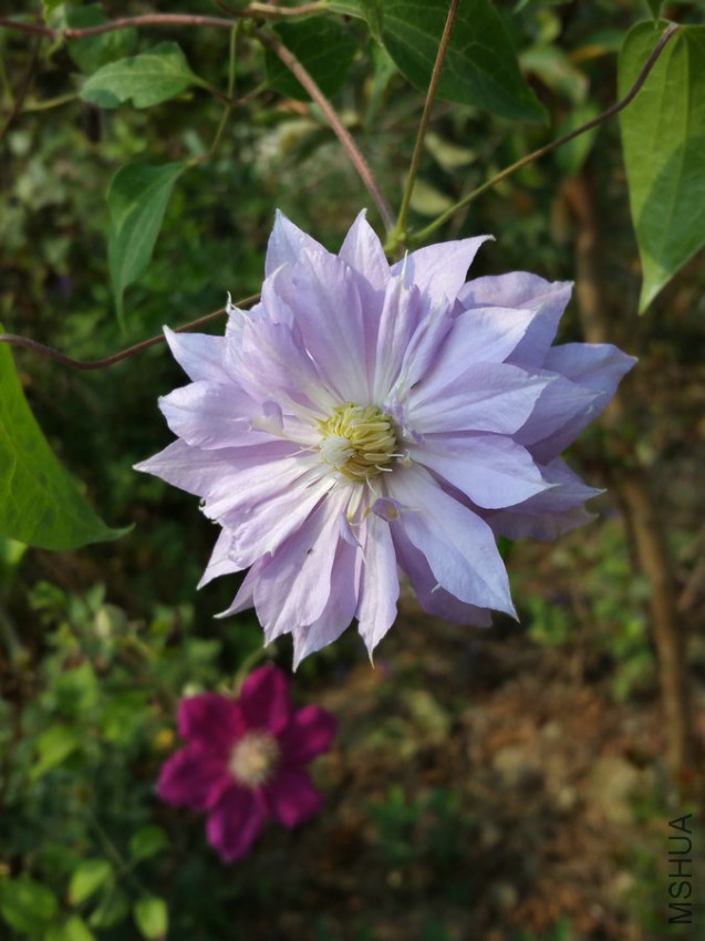 20160925_095323.jpg