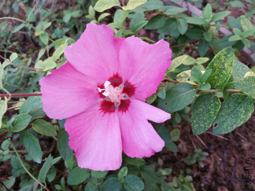 20160925_173608.jpg