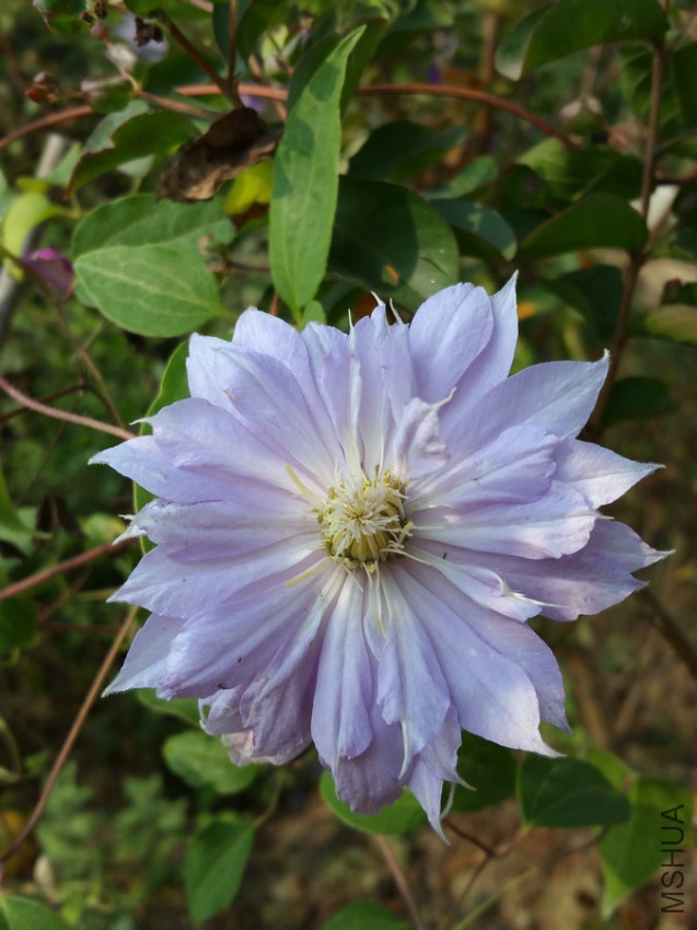 20160925_095330.jpg