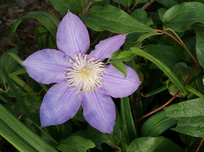 20161009_090533.jpg