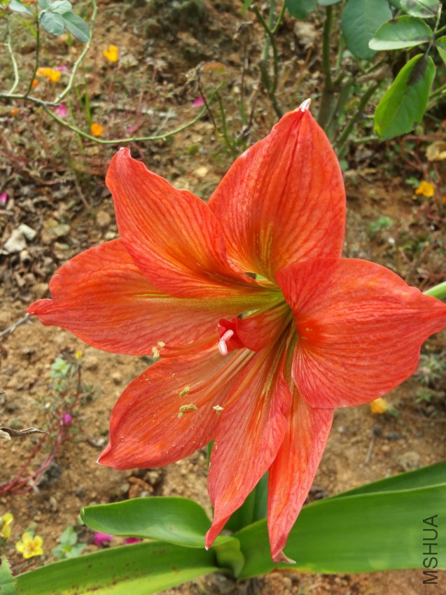 20161009_095907.jpg
