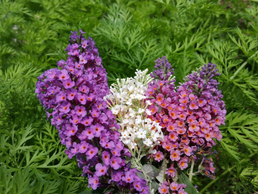 20161009_115056.jpg