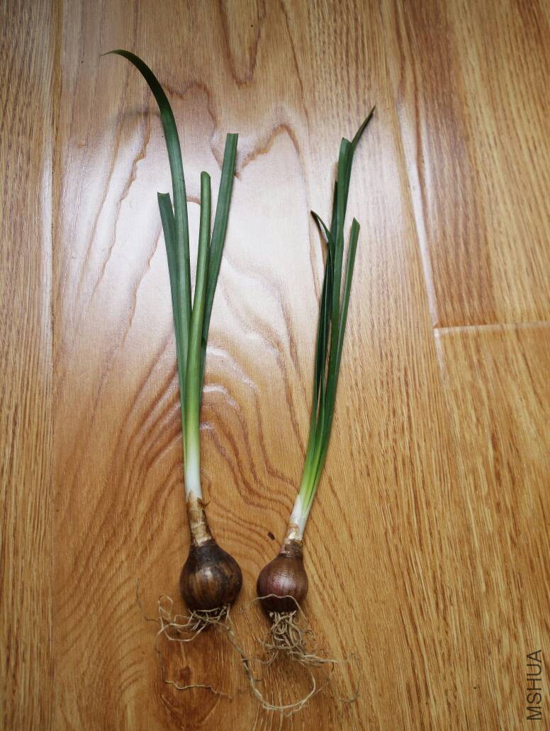 141739whdd2fdde8my1qhz.jpg