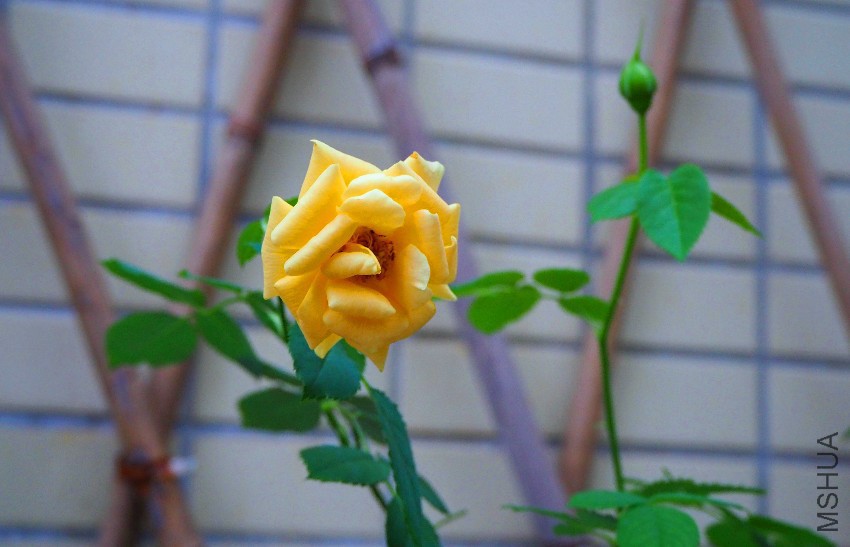 PB080073.jpg