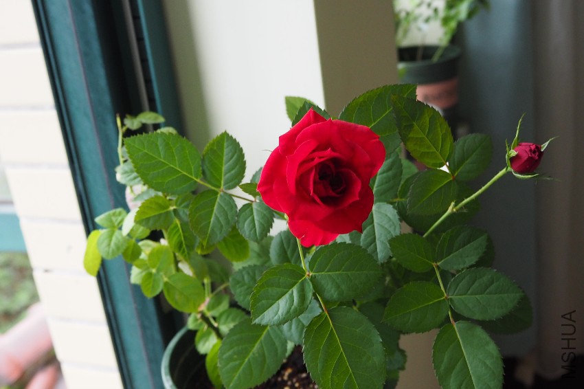 PB100076.JPG