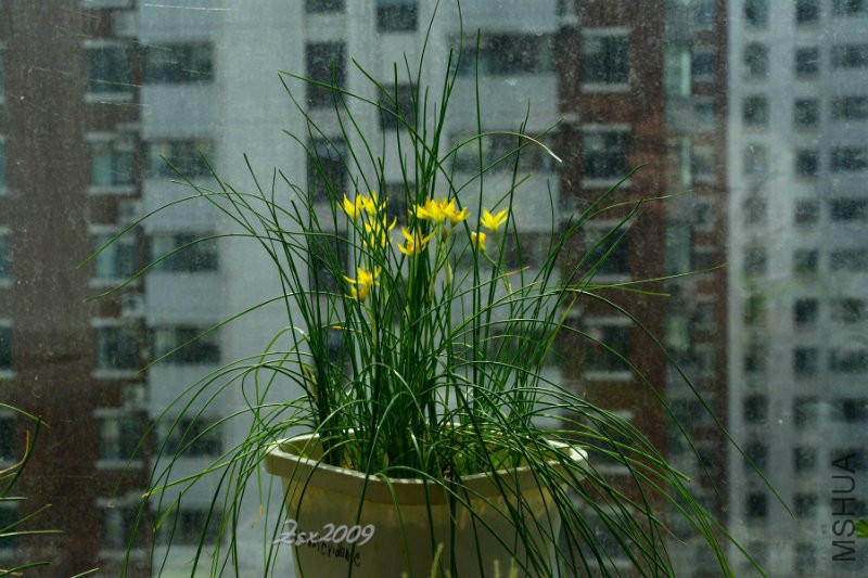 DSC_1465.JPG