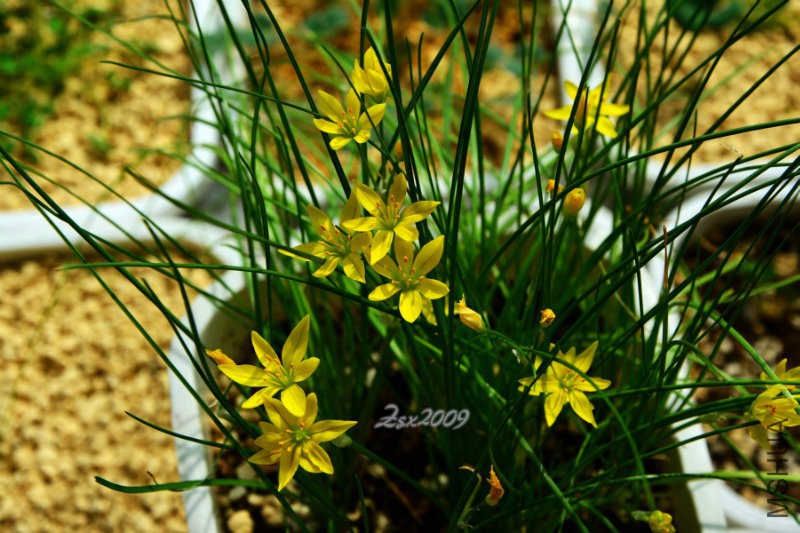 DSC_1643.JPG