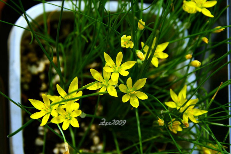 DSC_1670.JPG