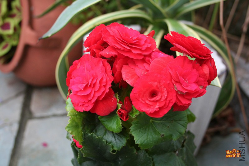 ��Ƭ 103_����.jpg