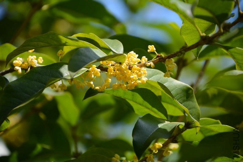 DSC_11940152.JPG