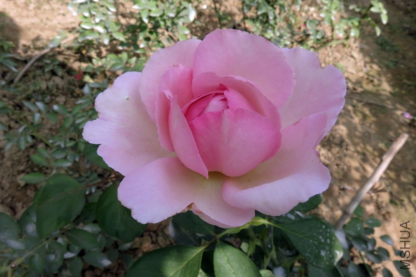 IMG_3879.JPG