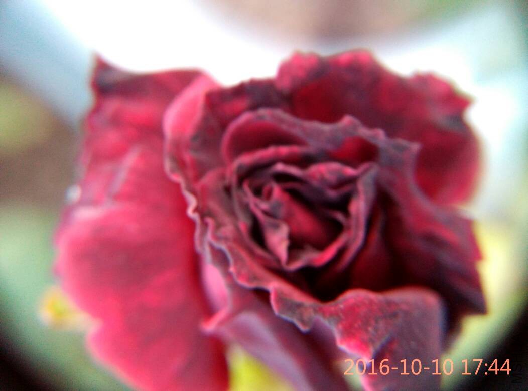223703xr2u8o8frvris0wr.jpg