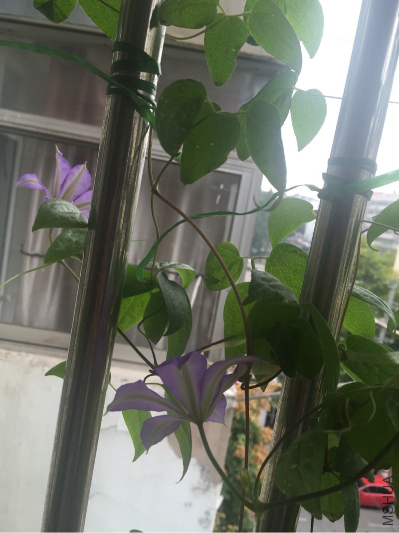 090502s2155adoj7g0n9o0.jpg