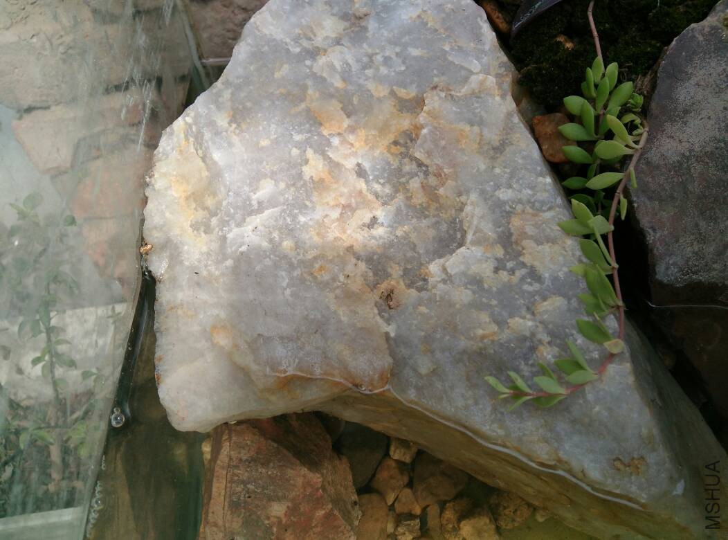 120041mzill44254sm217m.jpg