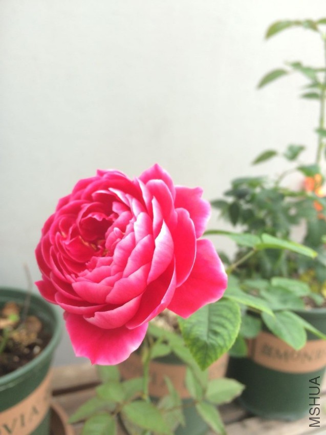 QQͼƬ20161011155851.jpg