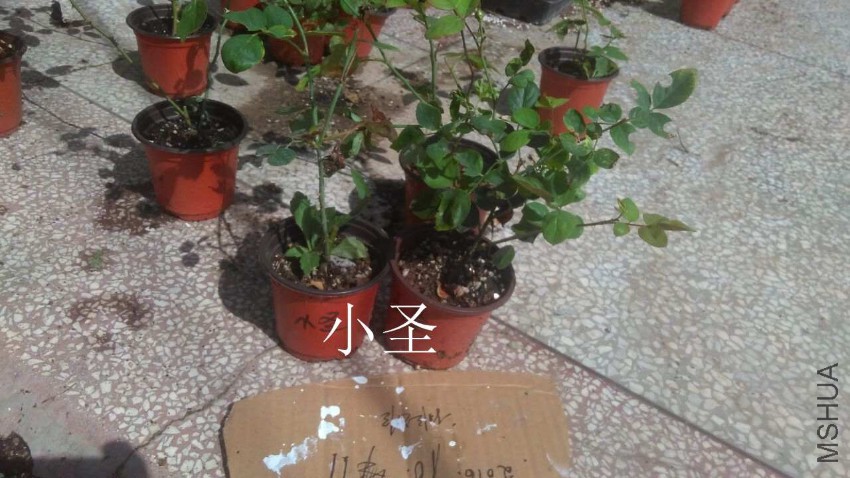 QQͼƬ20161011155510.jpg