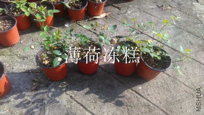 QQͼƬ20161011155547.jpg