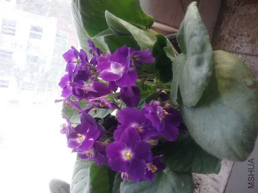 20161011_161417.jpg