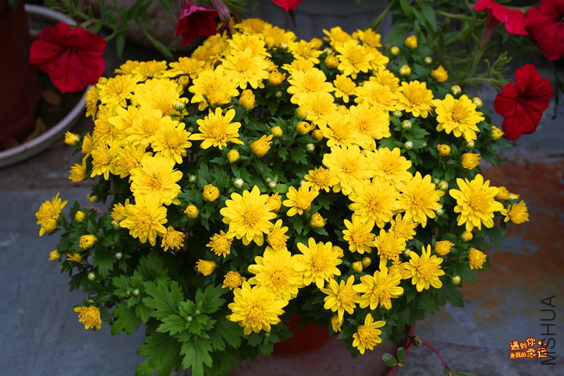 ��Ƭ 009_����.jpg