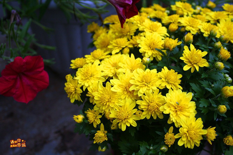 ��Ƭ 011_����.jpg