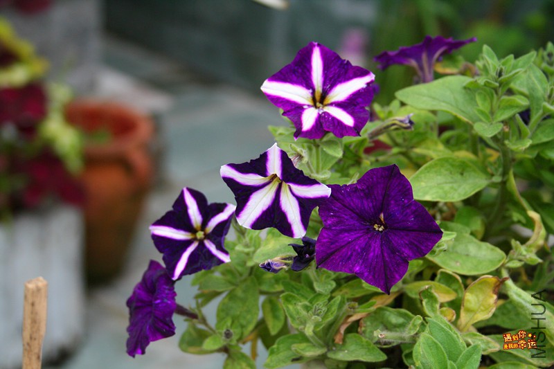 ��Ƭ 015_����.jpg