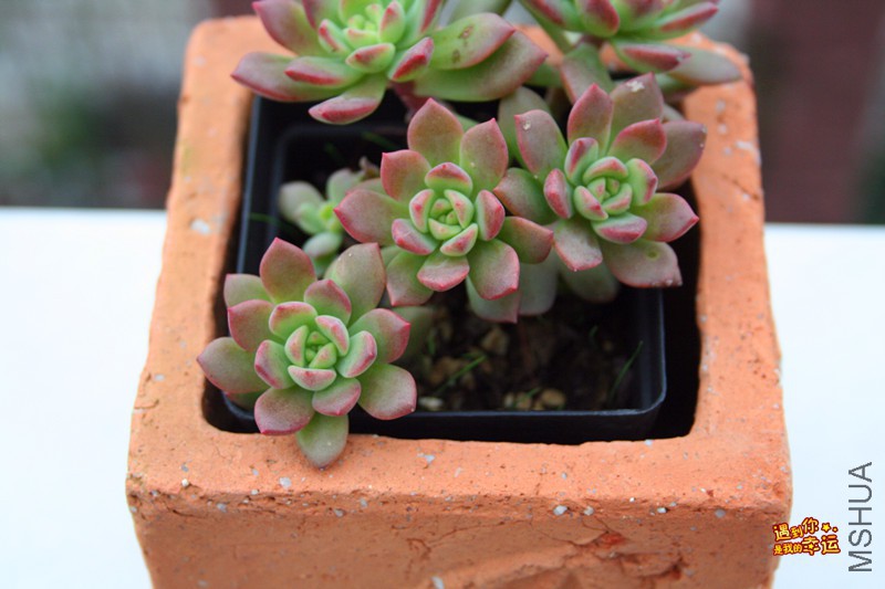 ��Ƭ 081_����.jpg