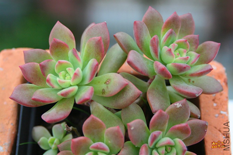 ��Ƭ 083_����.jpg